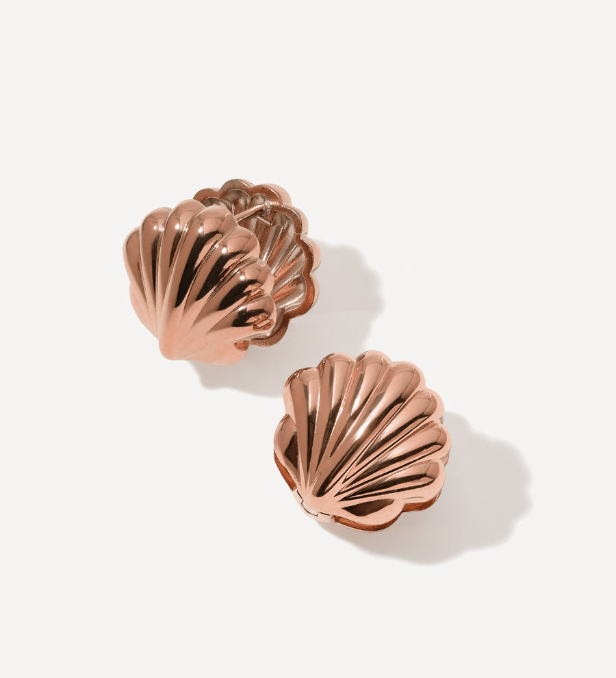Shell Melody Auskari